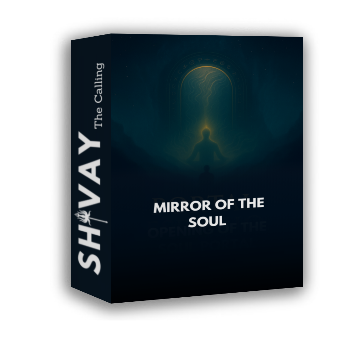 The Reality Mirror